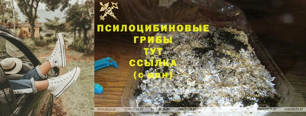 спайс Алексин