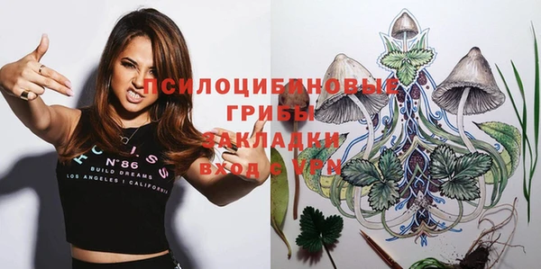 индика Абаза