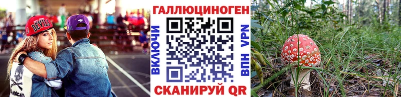 Галлюциногенные грибы мицелий  где купить наркотик  Дубовка 